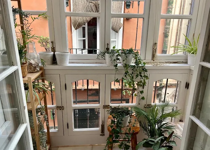 Iyourbasics Great Apartment Hinestrosa 23 Free Wifi&Ac